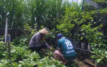 Bhabinkamtibmas dan Warga Bersama Wujudkan Ketahanan Pangan di Kabupaten Madiun