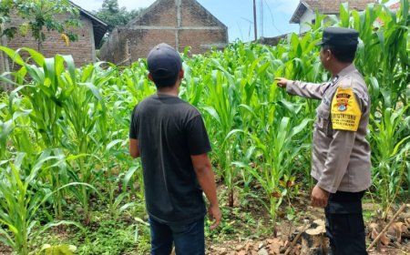 Mengajak Masyarakat Bersama-Sama Mendukung Ketahanan Pangan Nasional